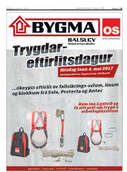 Síða 31