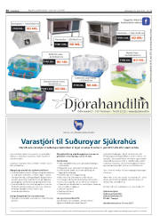 Síða 36