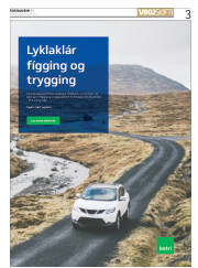 Síða 3