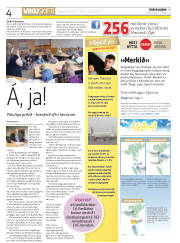 Síða 4