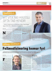 Síða 11