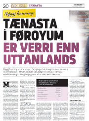 Síða 20
