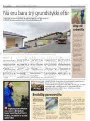 Síða 6