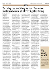 Síða 11