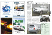 Síða 6