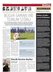 Síða 23