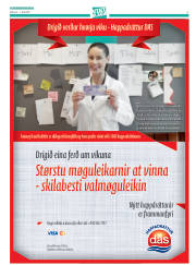 Síða 27