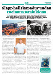 Síða 28