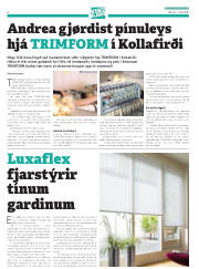 Síða 30