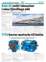Síða 42