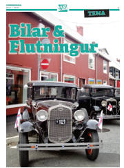 Síða 45