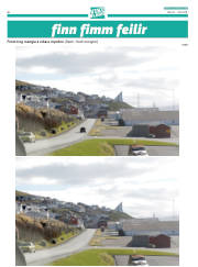 Síða 60