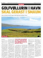 Síða 8