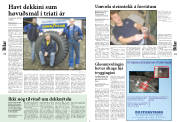 Síða 12