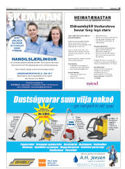 Síða 29
