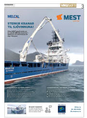 Síða 3