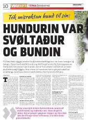 Síða 10