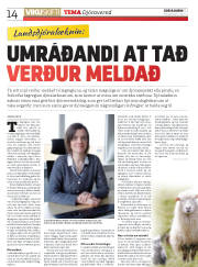 Síða 14