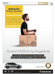 Síða 21