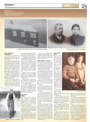Síða 29