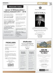 Síða 31