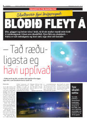 Síða 8
