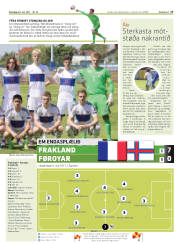 Síða 17