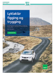 Síða 31