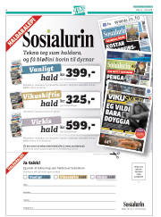 Síða 32