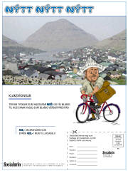Síða 21