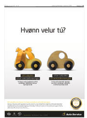 Síða 11