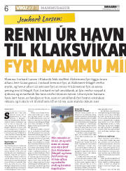 Síða 6