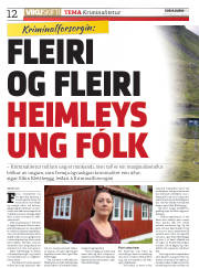 Síða 12