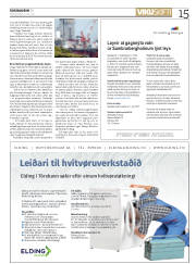 Síða 15
