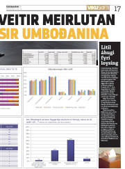 Síða 17