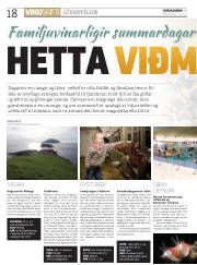 Síða 18