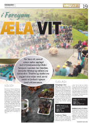 Síða 19