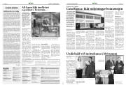 Síða 6