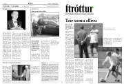 Síða 8