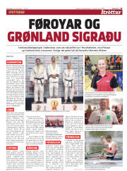 Síða 13
