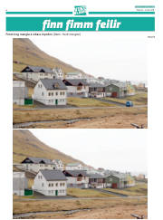 Síða 30
