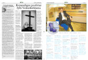 Síða 11