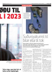 Síða 11