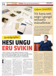 Síða 14