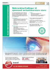 Síða 15