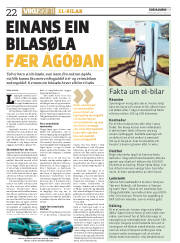 Síða 22
