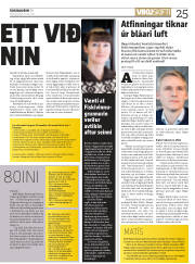 Síða 25