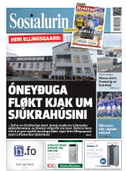 Síða 1