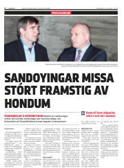Síða 6