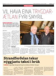 Síða 7